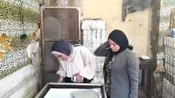 المحافظات