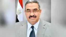 امن مصر