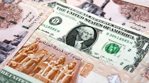 سعر الدولار اليوم في مصر...
