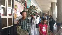 اخبار مصر