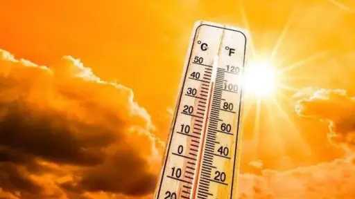 اخبار مصر