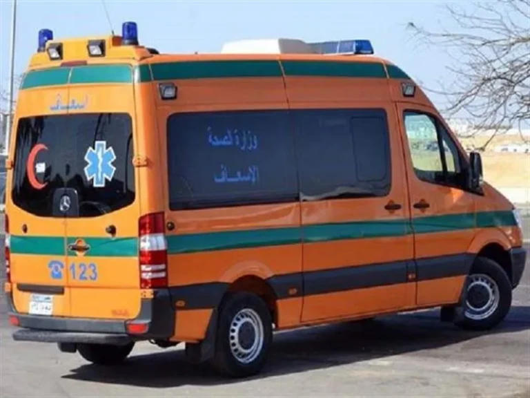 بشاكوش و 7 طعنات.. القصة الكاملة لمقتل محفظة قرآن على يد زوجها بالمحلة