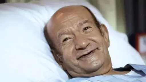 فن