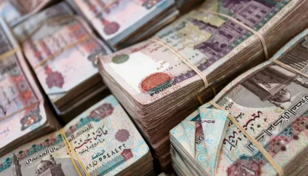 50 ألف جنيه قرض للنساء بالتقسيط على سنتين دون عائد