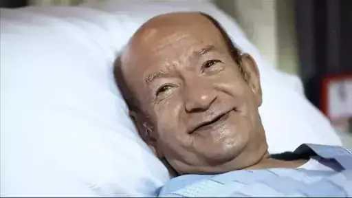 فن