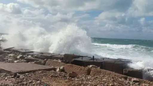 اخبار مصر