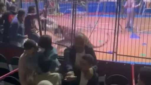 اخبار مصر
