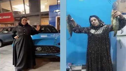 اخبار مصر