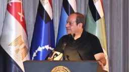 اخبار مصر