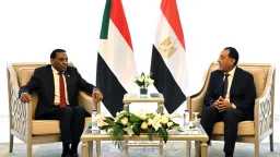 اخبار مصر