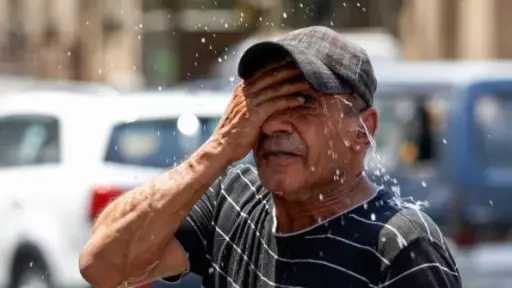 اخبار مصر