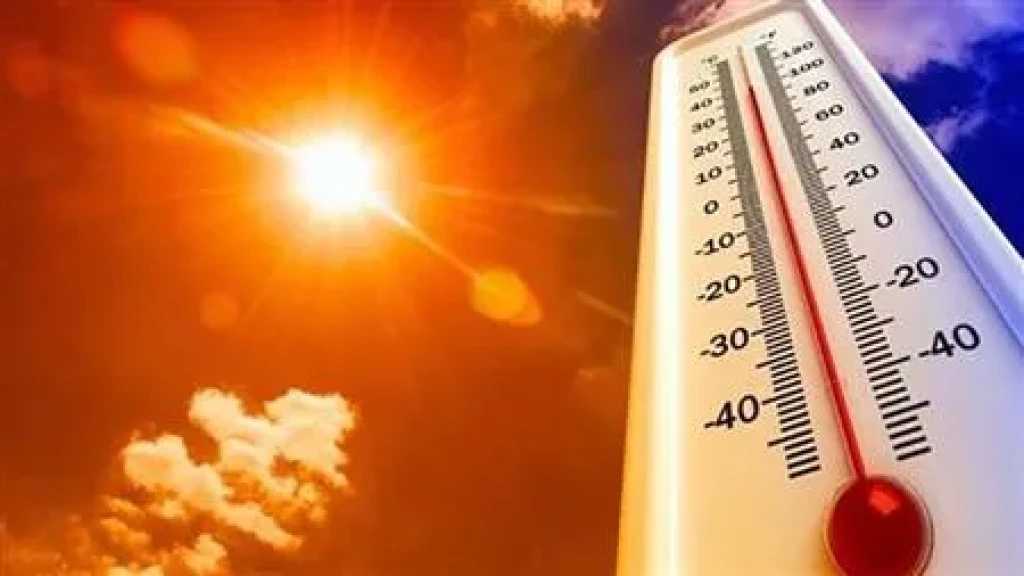 اخبار مصر