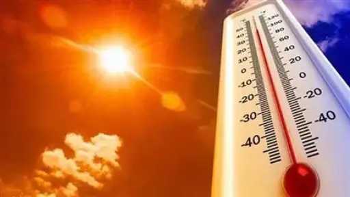 اخبار مصر
