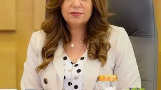 امن مصر
