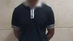 امن مصر