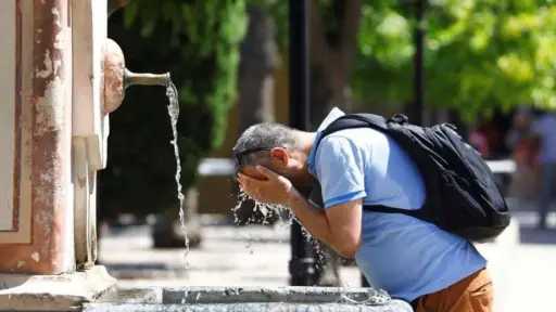 اخبار مصر