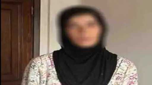 امن مصر
