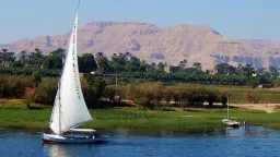 اخبار مصر