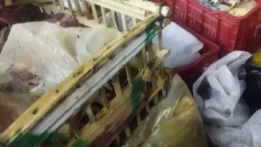 امن مصر