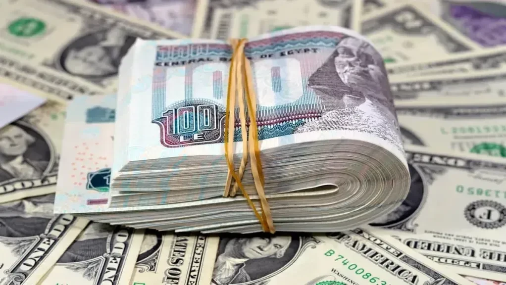 سعر الدولار اليوم السبت 16- 8- 2025 مقابل الجنيه المصري