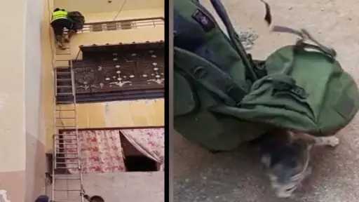 الأجهزة الأمنية بالسويس تتمكن من...