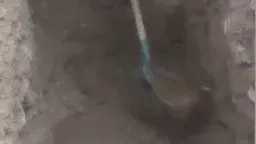 المحافظات