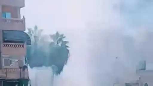 السوشيال
