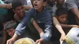 شئون عربية