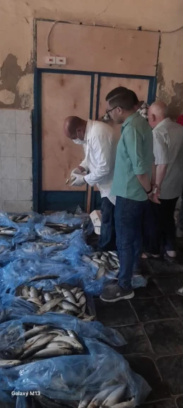 محافظ الغربية يتابع الحملات المكبرة.. الطب البيطري يضبط أكثر من طن منتجات فاسدة بزفتى والسنطة