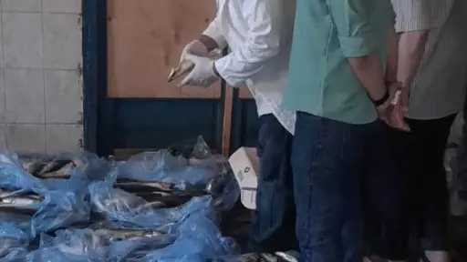 محافظ الغربية يتابع الحملات المكبرة.....