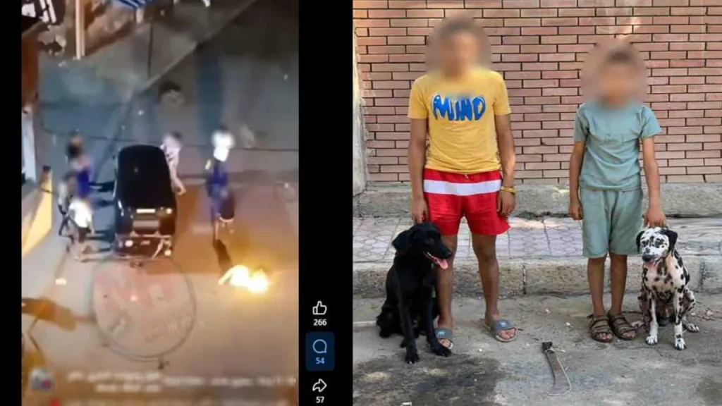 بالصور.. الداخلية تكشف ملابسات قيام شخصين  أحدهما يحمل سلاح وبرفقتهم كلبين بالتعدى على اخر بالضرب بالإسكندرية