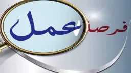 اخبار مصر