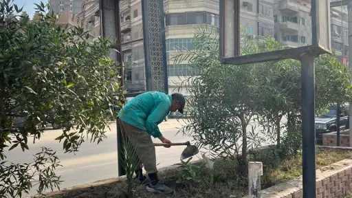 محافظ الغربية عروس الدلتا تتزين...