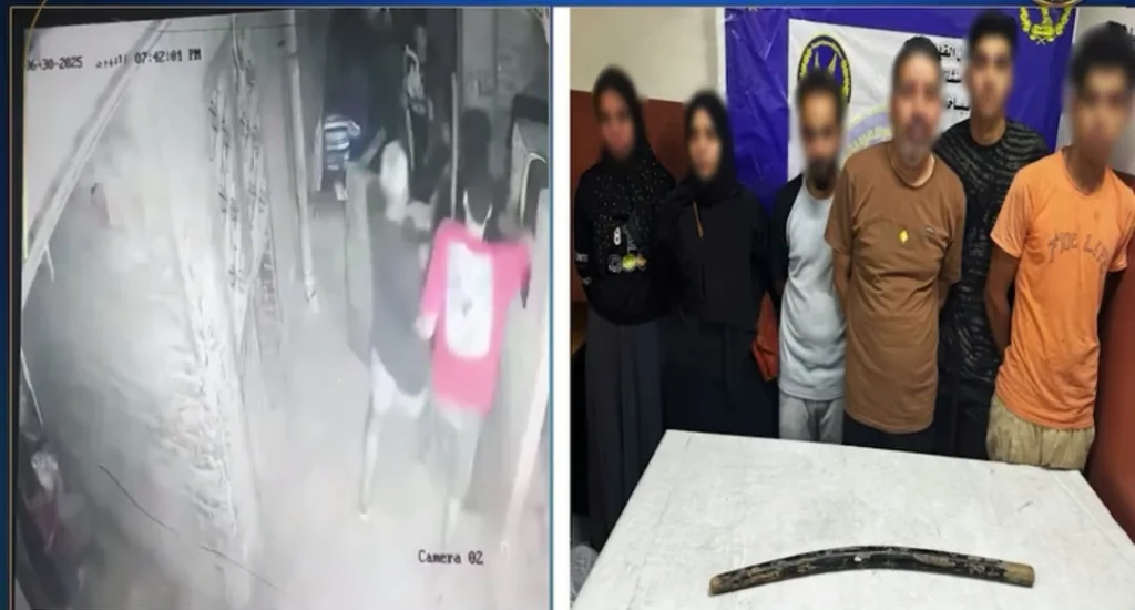 بالصور والفيديو.. الداخلية تكشف تعدى شخص على سيدة تحمل طفلاً باستخدام عصا خشبية بالقاهرة