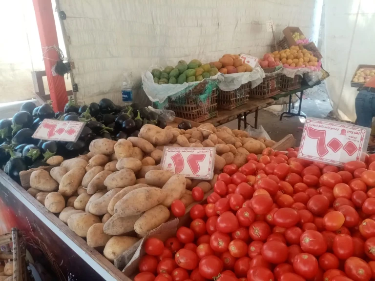 محافظ الدقهلية: استمرار انطلاق أسواق اليوم الواحد الجمعة والسبت كل أسبوع بشارع قناة السويس بالمنصورة