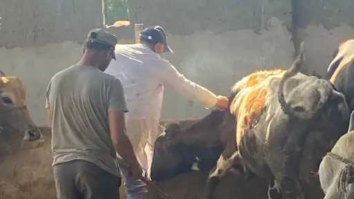 المحافظات
