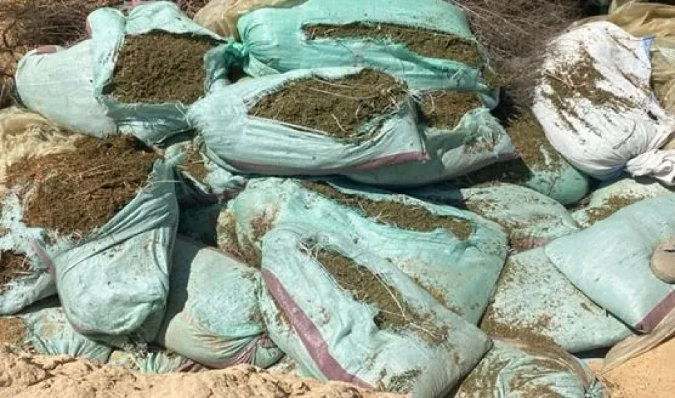 فى ضربة أمنية حاسمة   ضبط كميات كبيرة من المواد المخدرة بالإسماعيلية.. بقيمة مالية بلغت حوالى 795 مليون جنيه