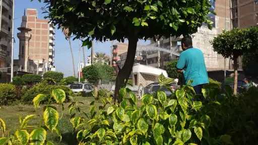 محافظ الغربية: حملات نظافة مستمرة...