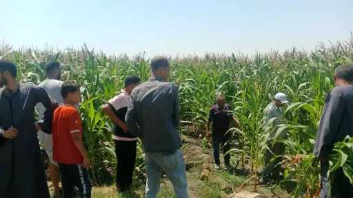 محافظ أسيوط: رفع الوعي الزراعي...