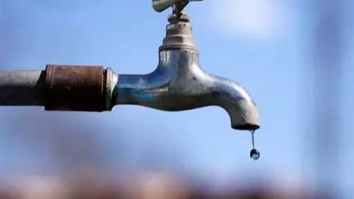 اخبار مصر