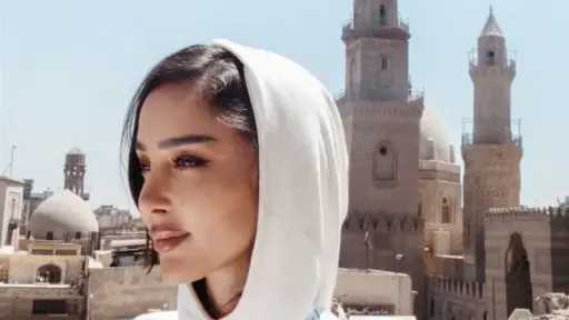 فن