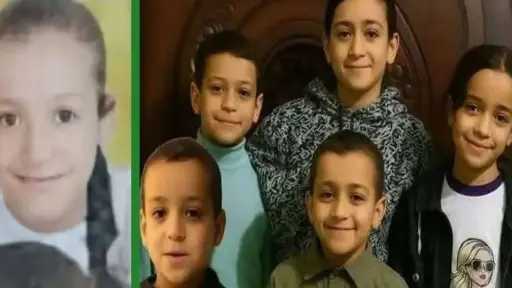 تحقيقات