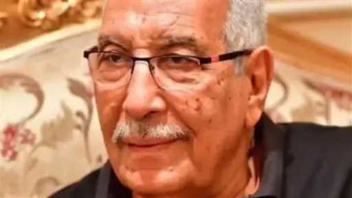 اخبار مصر