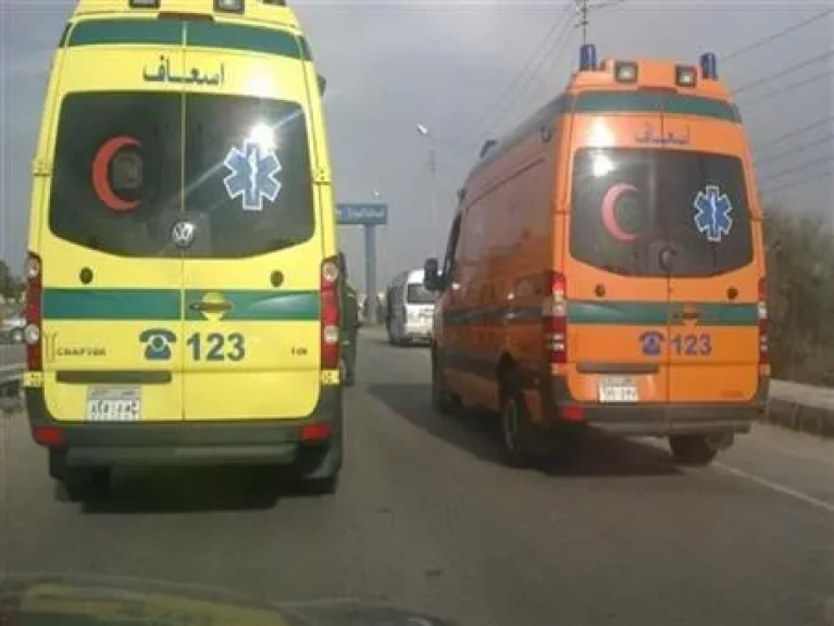 مصرع 3 أشخاص وإصابة طفل في حادث تصادم على الطريق الدولي بجمصة