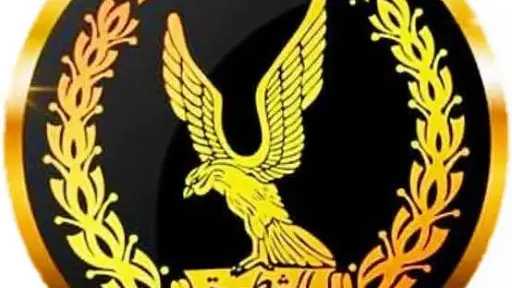 امن مصر