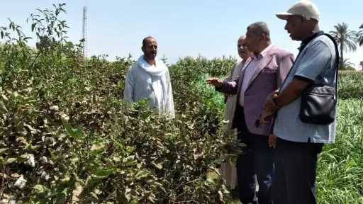 المحافظات