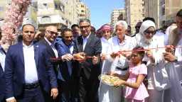 اخبار مصر