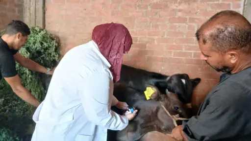 محافظ أسيوط: استمرار فعاليات الحملة...