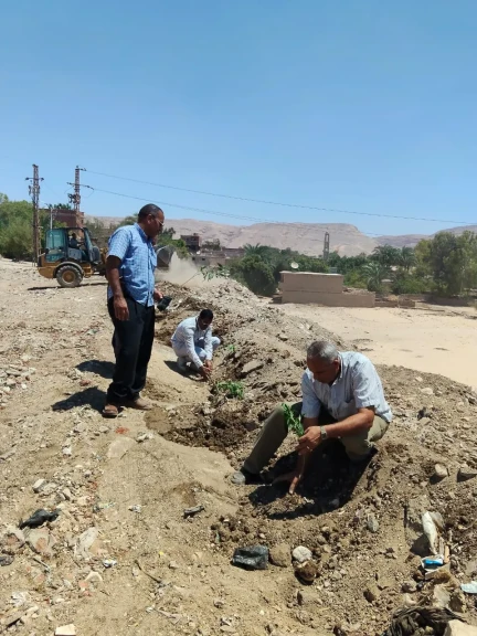 محافظ أسيوط: استمرار أعمال التشجير وزراعة الشتلات بمركز البداري في إطار مبادرة ”100 مليون شجرة”