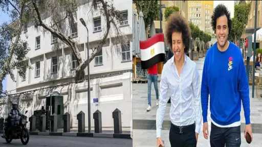 السوشيال